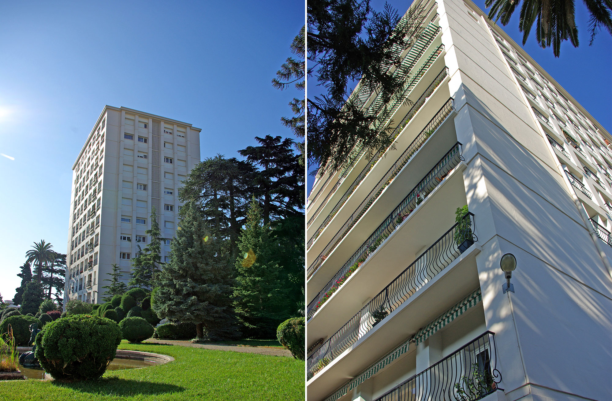 grands-cedres-03