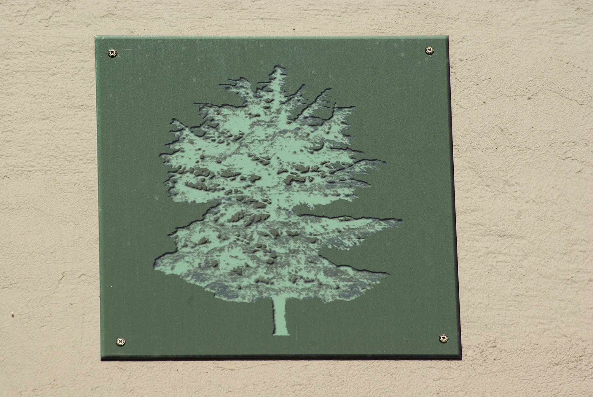 grands-cedres-06